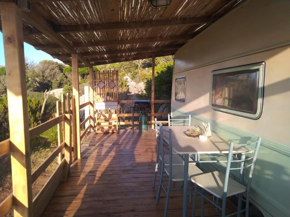 La Cera Farm Camping B&B Санта-Тереза-Галлура Экстерьер фото