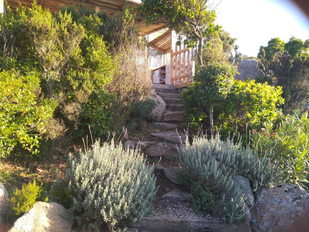 La Cera Farm Camping B&B Санта-Тереза-Галлура Экстерьер фото