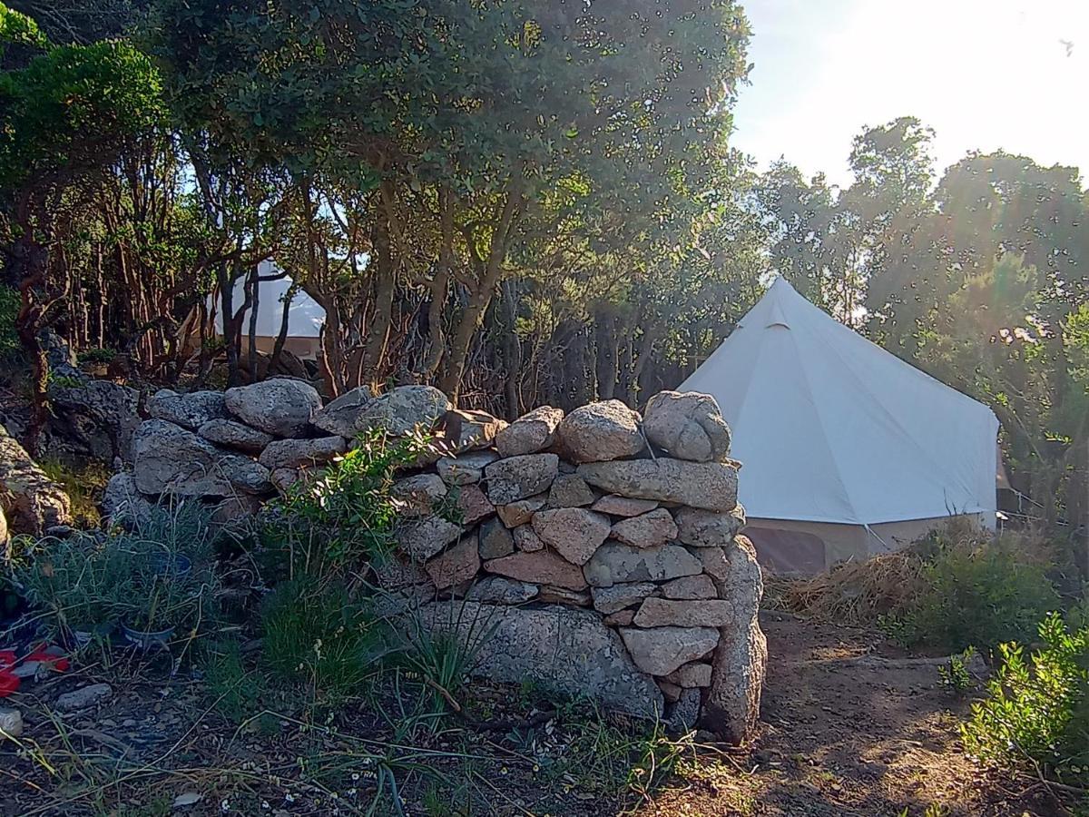 La Cera Farm Camping B&B Санта-Тереза-Галлура Экстерьер фото