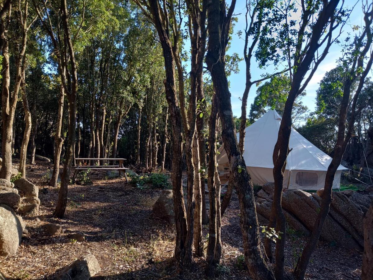 La Cera Farm Camping B&B Санта-Тереза-Галлура Экстерьер фото