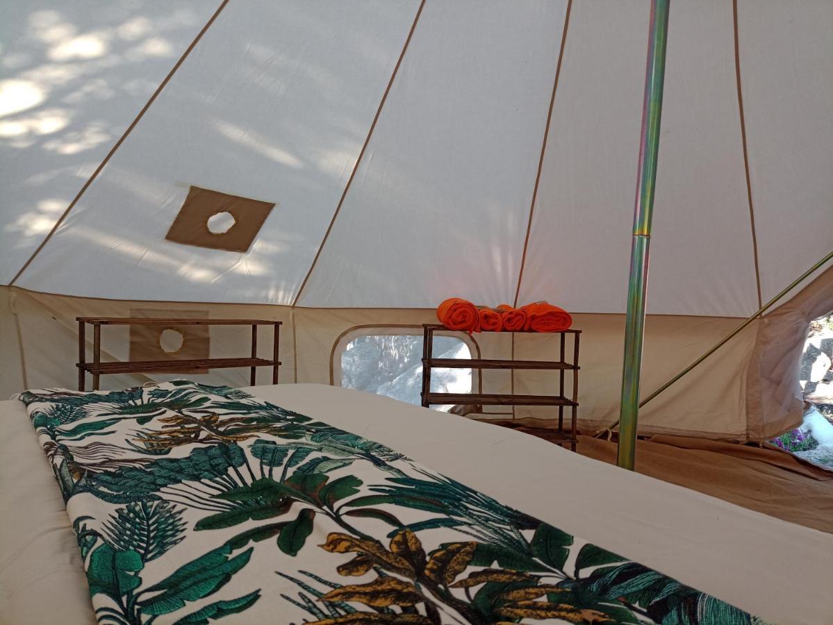 La Cera Farm Camping B&B Санта-Тереза-Галлура Экстерьер фото