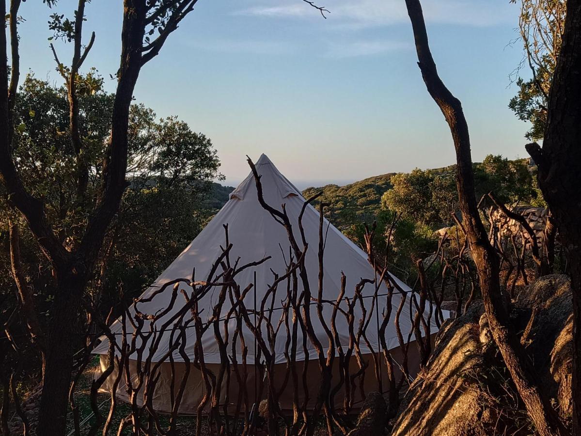 La Cera Farm Camping B&B Санта-Тереза-Галлура Экстерьер фото