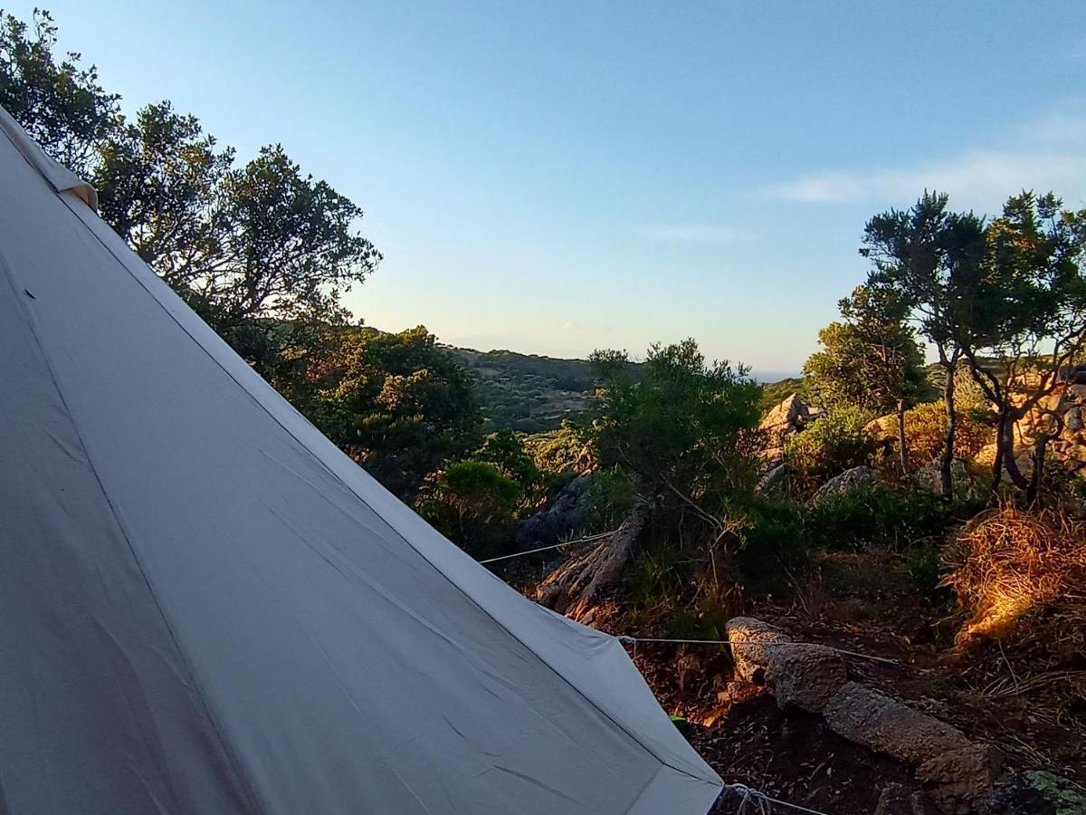 La Cera Farm Camping B&B Санта-Тереза-Галлура Экстерьер фото
