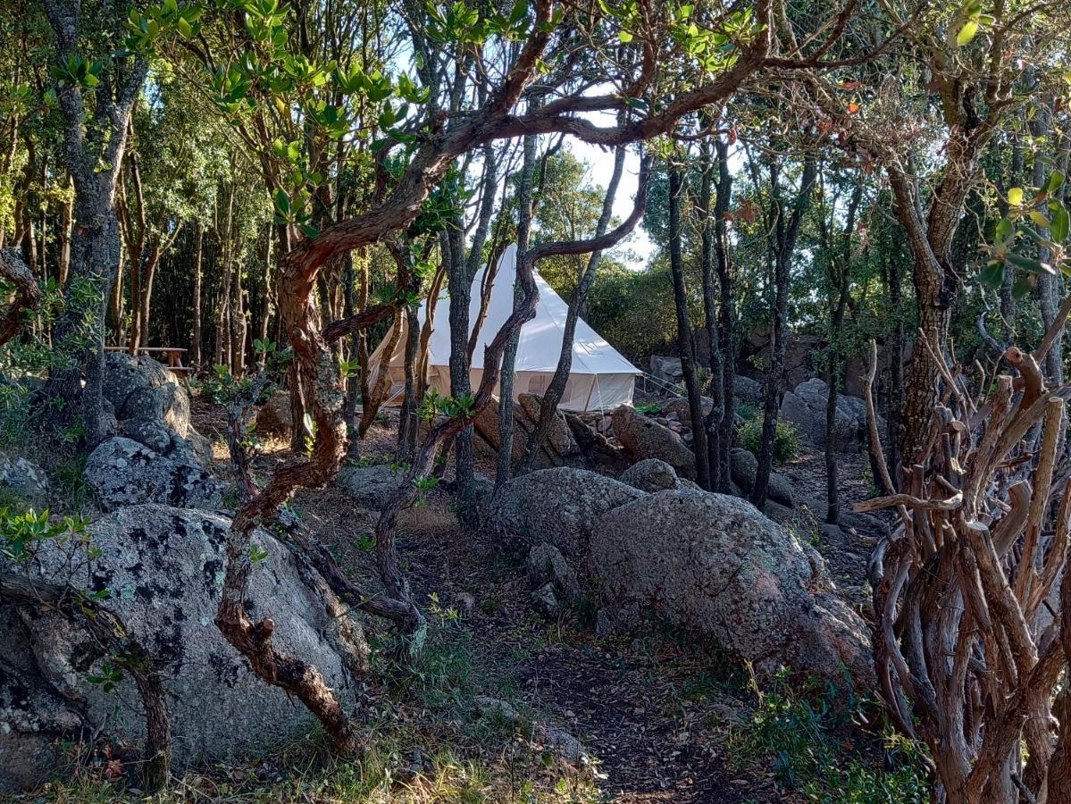 La Cera Farm Camping B&B Санта-Тереза-Галлура Экстерьер фото