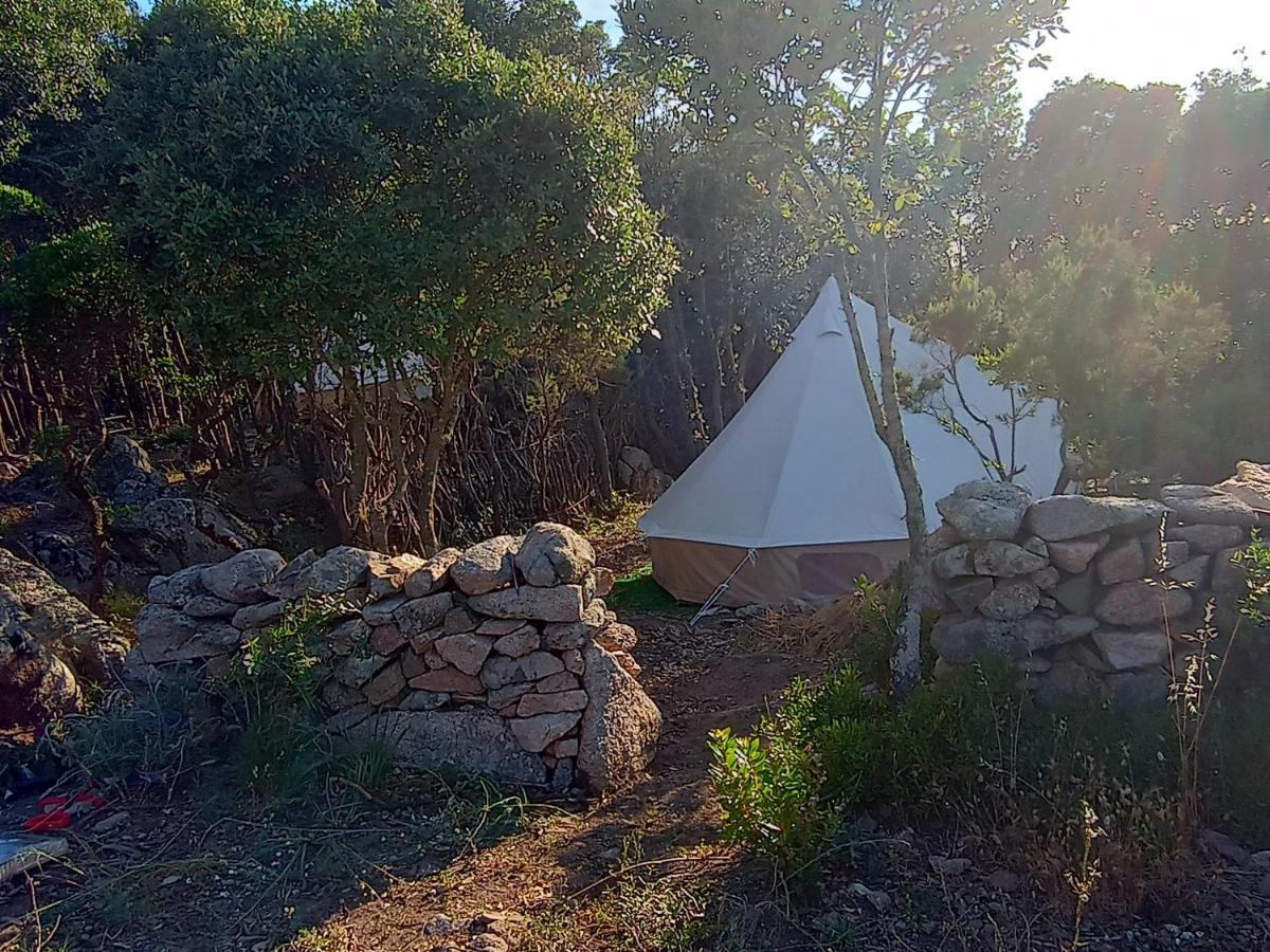 La Cera Farm Camping B&B Санта-Тереза-Галлура Экстерьер фото