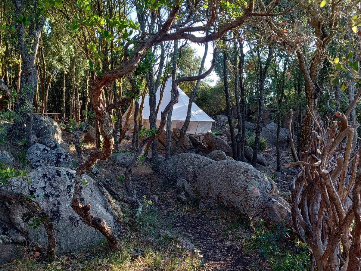 La Cera Farm Camping B&B Санта-Тереза-Галлура Экстерьер фото