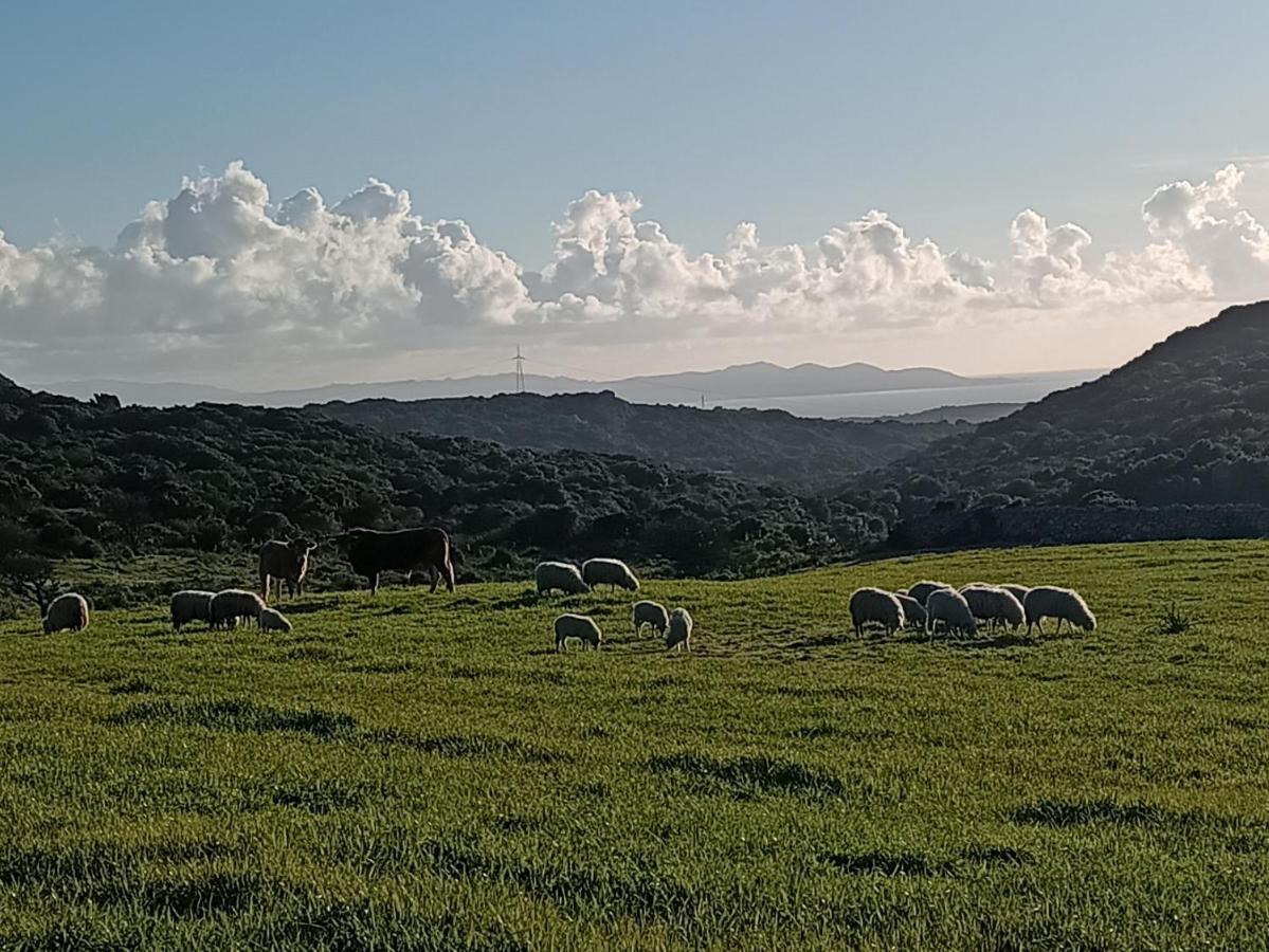 La Cera Farm Camping B&B Санта-Тереза-Галлура Экстерьер фото